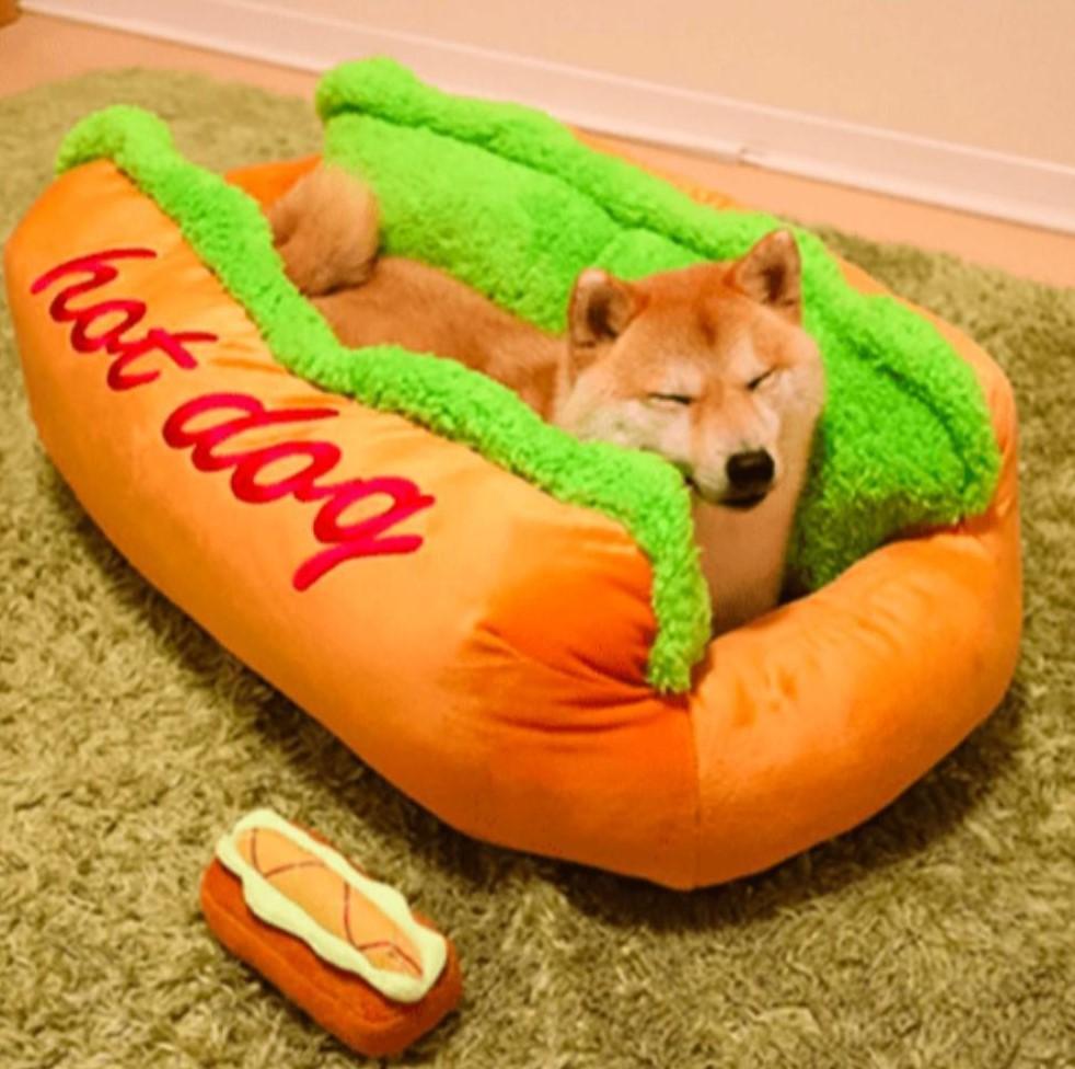 Playful "Hot Dog" Bed